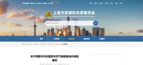 上海市發(fā)改委調(diào)整非居民天然氣售價(jià) 對(duì)軟件代理與開發(fā)行業(yè)的影響與應(yīng)對(duì)策略